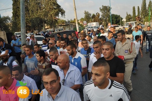 3ares abo 3arar 1129 (6).JPG